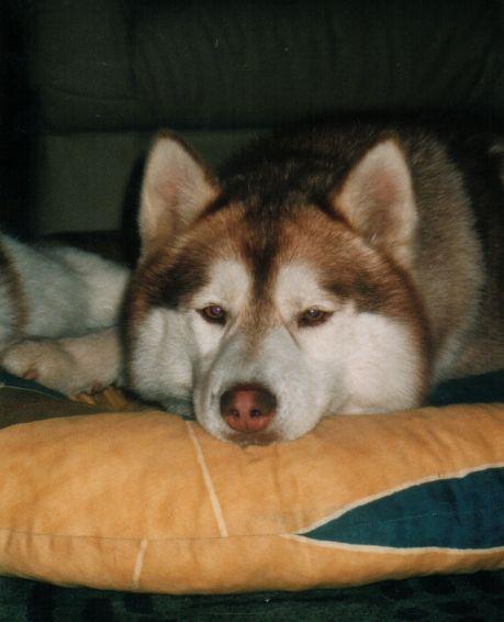 myra (31).jpg